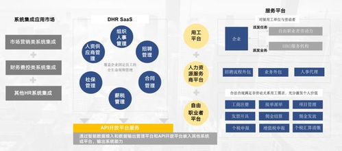 周江華榮獲年度數字經濟風云人物獎 數字技術服務的創新引領者